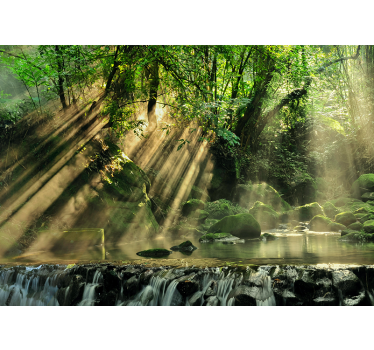 Fotomural naturaleza arroyo forestal iluminado por el sol - TenVinilo