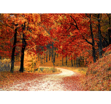 Papel pintado naturaleza sendero del bosque en otoño - TenVinilo