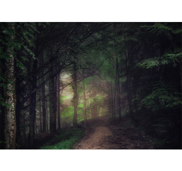 Papel pintado bosque camino serene - TenVinilo