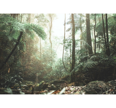 Fotomural bosque serenidad de la selva frondosa - TenVinilo