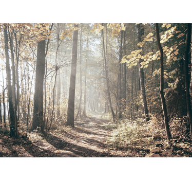 Fotomural bosque camino sereno de otoño - TenVinilo