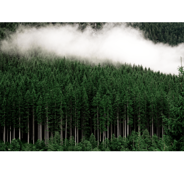Fotomural naturaleza paisaje de bosque majestuoso - TenVinilo