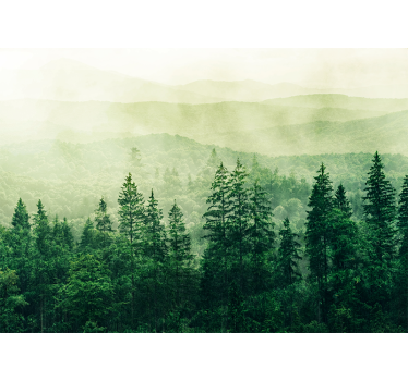 Fotomural naturaleza paisaje verde brumoso - TenVinilo