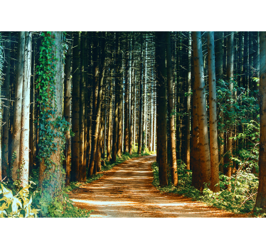 Papel pintado bosque sendero del bosque aislado - TenVinilo