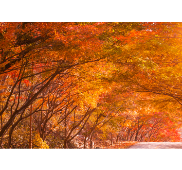 Fotomural bosque sendero del bosque en otoño - TenVinilo