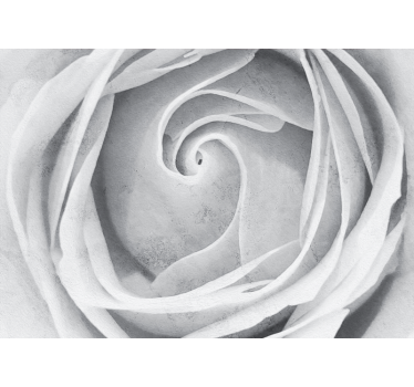 Mural de pared flores espiral de rosas elegantes - TenVinilo