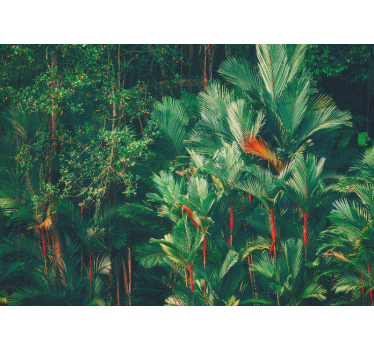 Fotomural selva colección palmas tropicales - TenVinilo