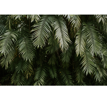 Fotomural naturaleza jardín tropical - TenVinilo