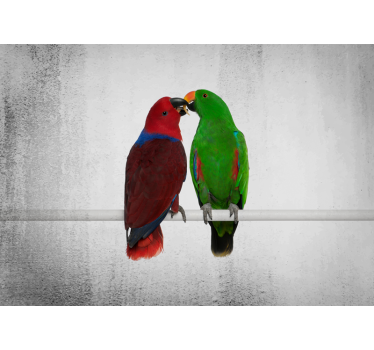 Fotomural animal interacción de loros coloridos - TenVinilo