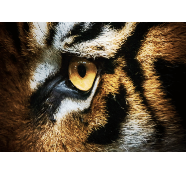 Fotomural animales intensa mirada de tigre - TenVinilo