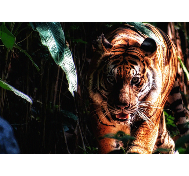 Fotomural animales tigre majestuoso acechando - TenVinilo