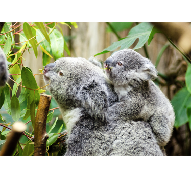 Fotomural animales koalas en el árbol - TenVinilo
