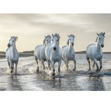 Fotomural majestuosos caballos blancos corriendo en la playa - TenVinilo