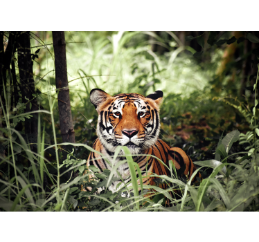 Fotomural animales experiencia tigre real - TenVinilo