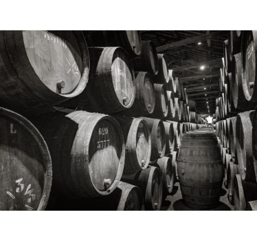 Fotomural vintage bodega con barricas de vino - TenVinilo