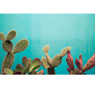 Fotomural de flores cactus con fondo azul - TenVinilo