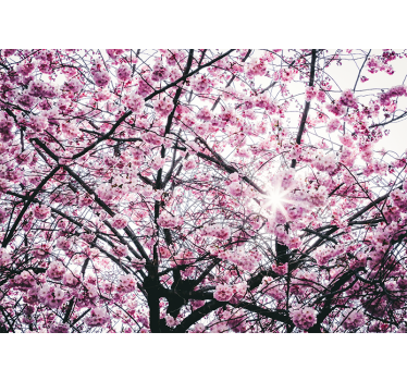 Fotomural de árboles flor de cerezo - TenVinilo