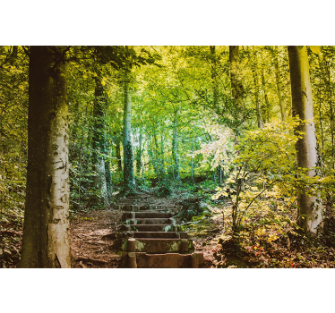 Papel pintado verde bosque camino con escaleras - TenVinilo