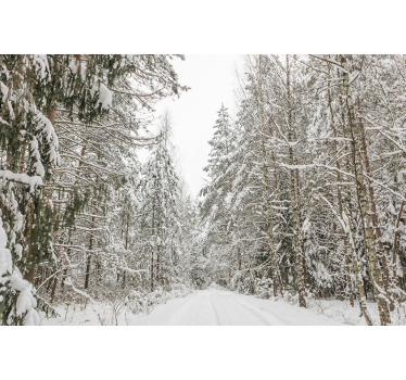 Fotomural de bosque día de invierno nevado - TenVinilo
