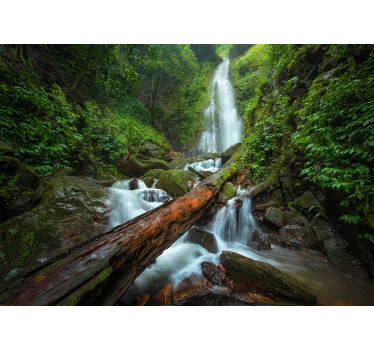 Fotomural cascada caída de agua serena - TenVinilo