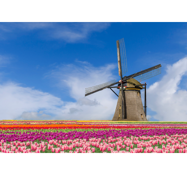 Fotomural de Ámsterdam campo de tulipanes y molino - TenVinilo
