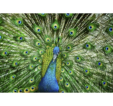 Fotomural animales exhibición de plumas de pavo real - TenVinilo