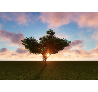 Fotomural árboles árbol solitario iluminado por el sol - TenVinilo