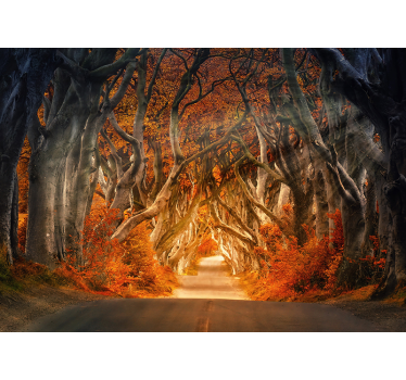 Papel pintado 3D bosque puerta encantada - TenVinilo
