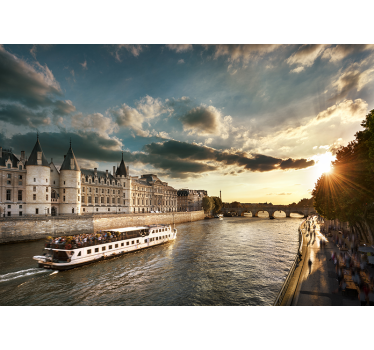 Mural ciudad París vistas río Sena - TenVinilo