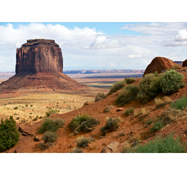 Papel pintado paisaje panorama del monolito del desierto - TenVinilo