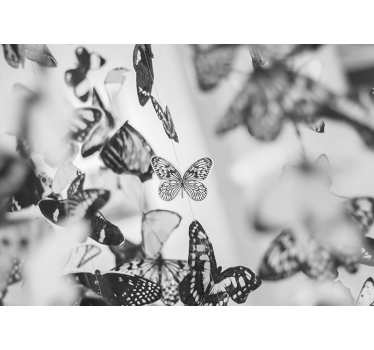 Fotomural animales delicada exhibición de mariposas - TenVinilo