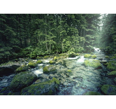 Papel pintado paisaje arroyo del bosque tranquilo - TenVinilo