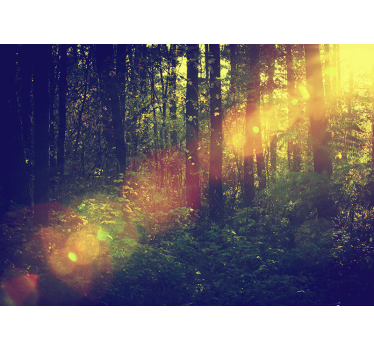Fotomural naturaleza profundidades del bosque soleado - TenVinilo