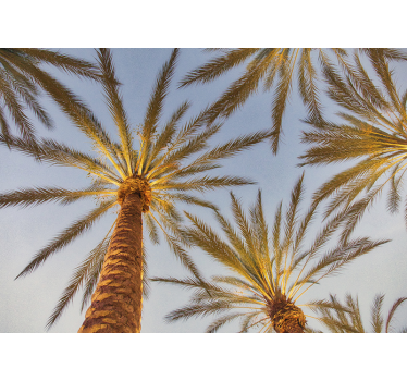 Fotomural árboles contorno de palmera - TenVinilo