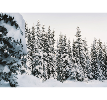 Fotomural bosque de pinos nevados - TenVinilo