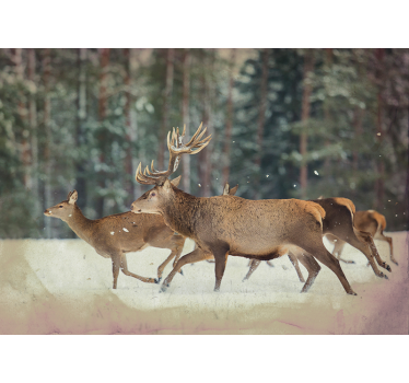 Fotomural animales majestuosa manada de ciervos - TenVinilo
