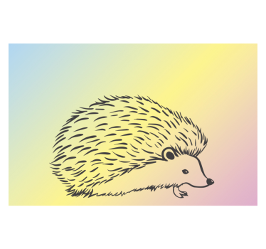 Fotomural animales diseño de erizo - TenVinilo