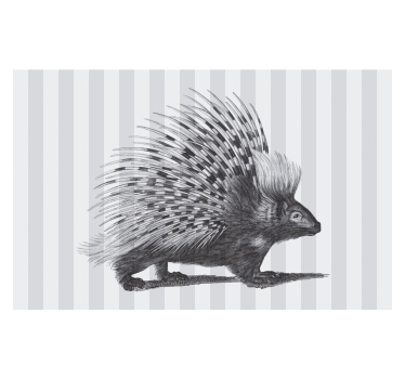 Fotomural animales diseño de espinas de puercoespín - TenVinilo