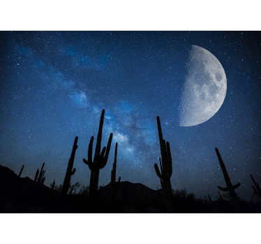 Papel pintado paisaje cielo nocturno de cactus - TenVinilo