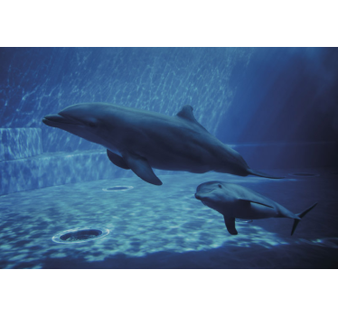 Fotomural animales delfines nadando juntos - TenVinilo