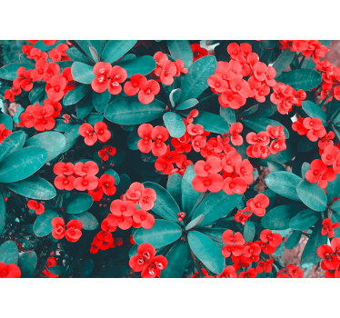 Mural de pared flores arreglo floral rojo - TenVinilo