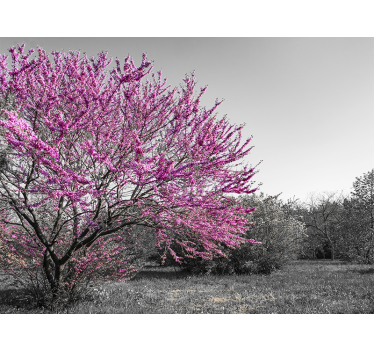 Mural de pared flores árbol de flor de cerezo - TenVinilo