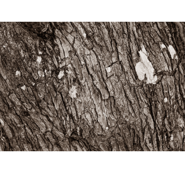 Fotomural texturas corteza de árbol texturizada - TenVinilo