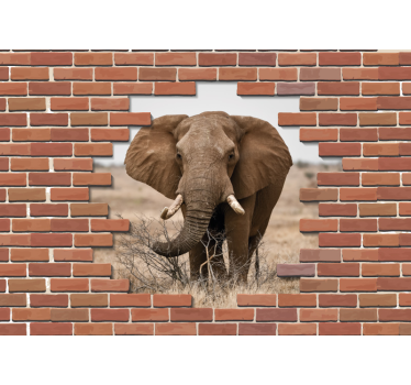 Fotomural animales majestuoso enfoque del elefante - TenVinilo