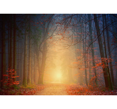 Fotomural bosque árboles otoñales envueltos en niebla - TenVinilo