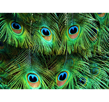 Fotomural animales patrón de plumas de pavo real - TenVinilo
