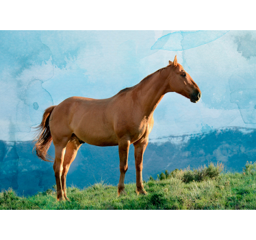 Fotomural animales majestuosa presencia del caballo - TenVinilo