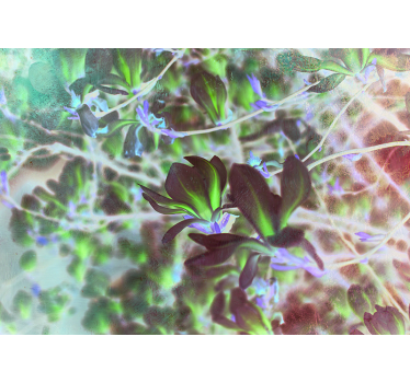 Fotomural de orquídeas explosión de flores de magnolia - TenVinilo