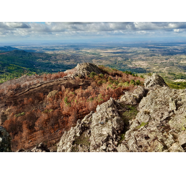 Papel pintado paisaje vista de terreno montañoso - TenVinilo