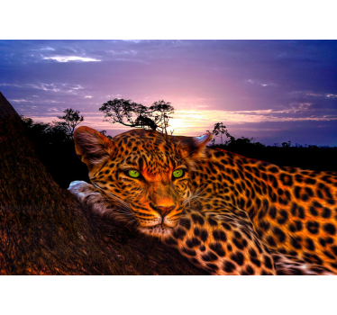 Fotomural león majestuosa mirada de leopardo - TenVinilo
